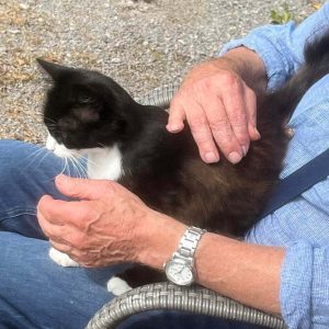 blog-fagnettverk-fremhevet