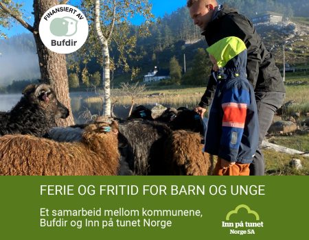 fremhevet-ferie og fritid-bufdir-img