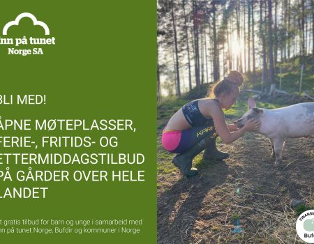 inn-paa-tunet-barn-og-unge